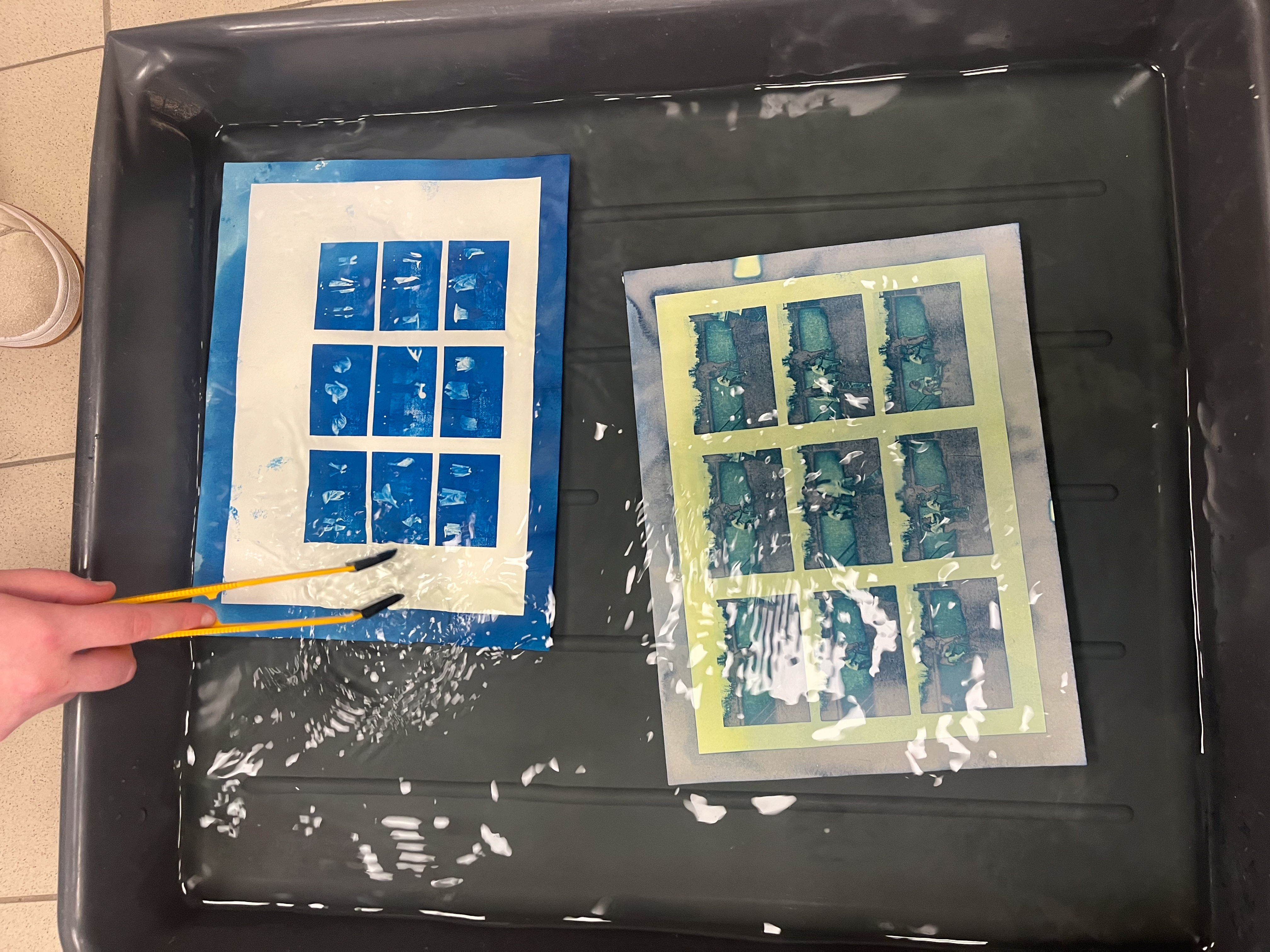 Atelier Cyanotype