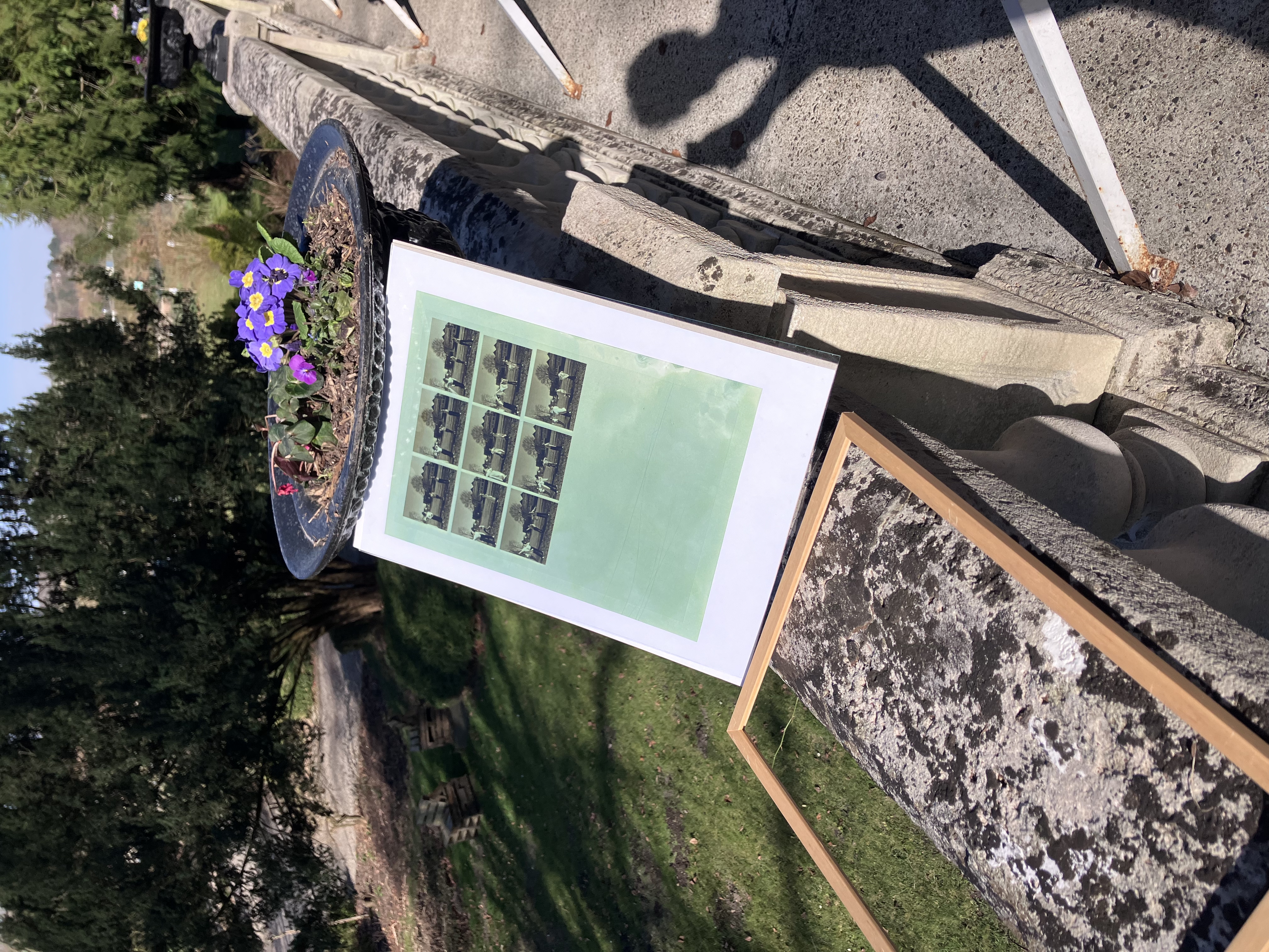 Atelier Cyanotype
