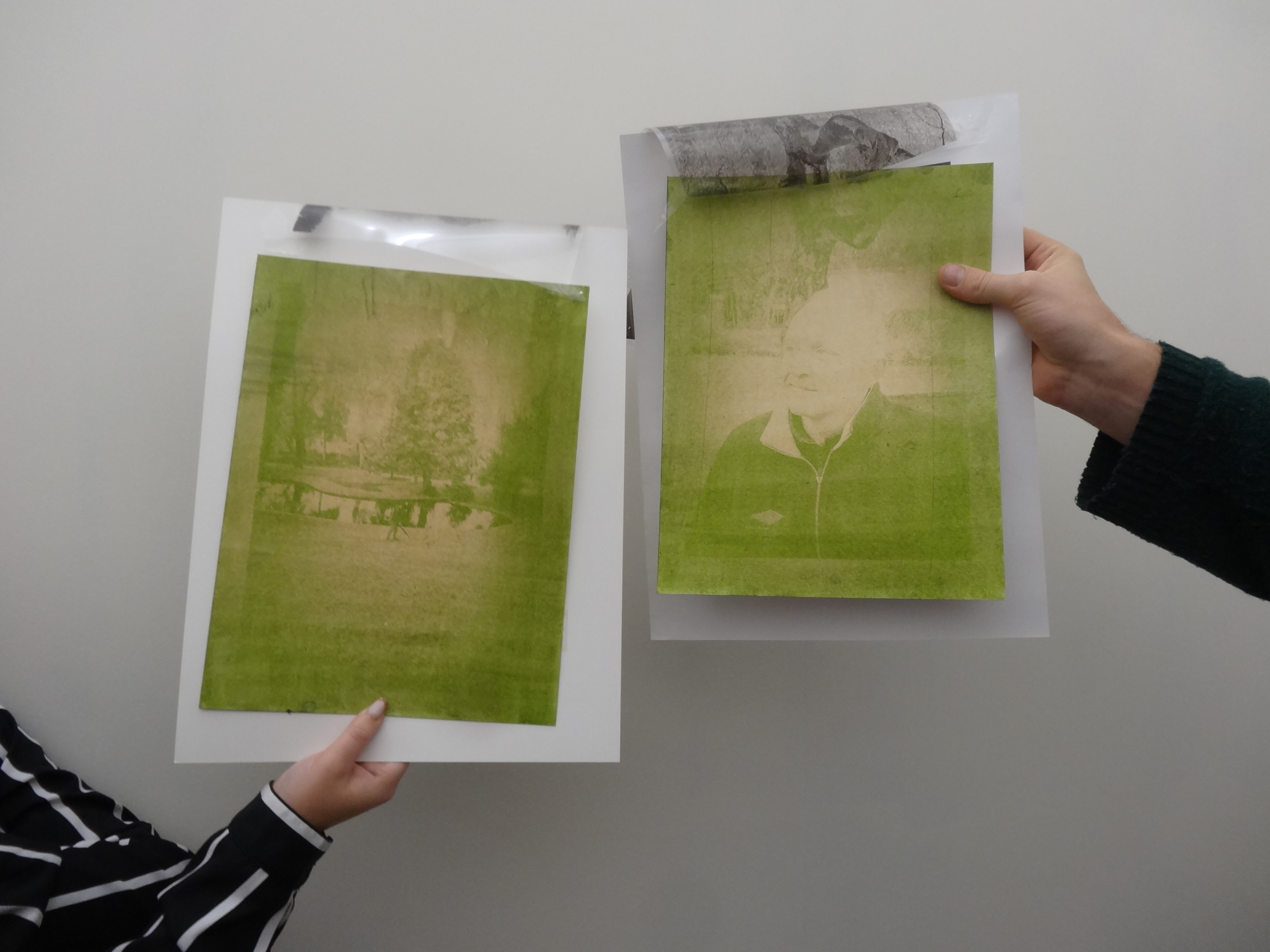 Atelier Anthotype