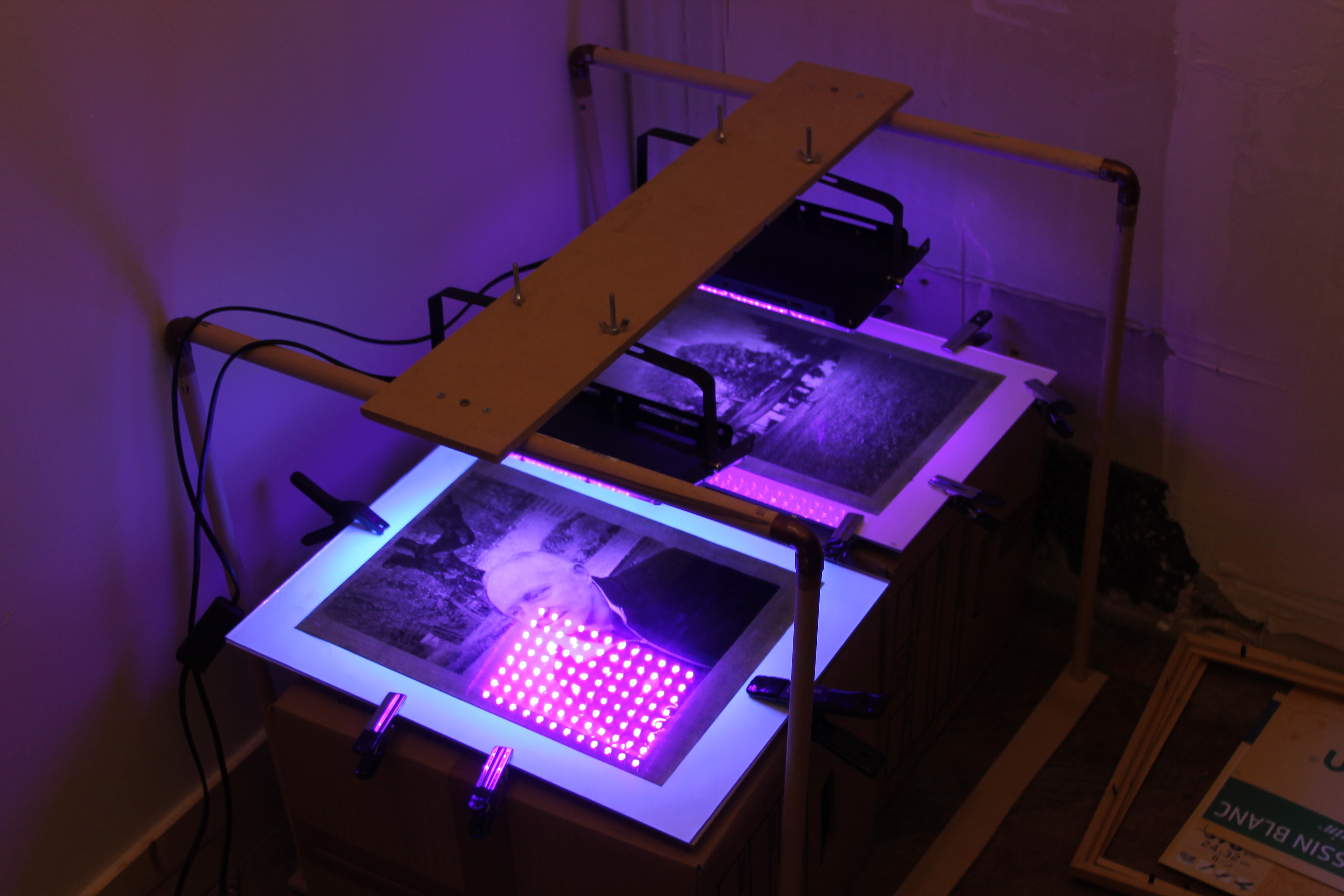 Atelier Anthotype